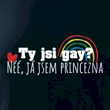 Gay princezna