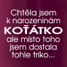 Chtěla jsem dostat k narozeninám koťátko