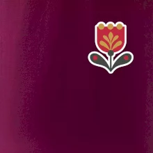 Folklor na prsu tulipán