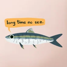 Long time no sea