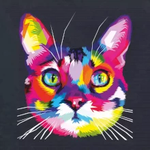 Kočka duhová hlava
