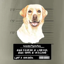 Lump a darebák labrador