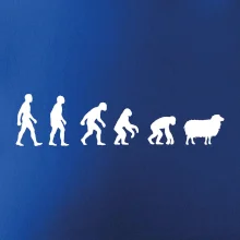 Evoluce ovce