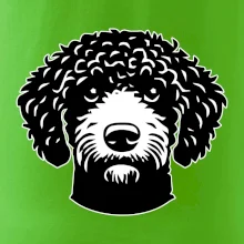 Lagotto romagnolo hlava na prsu