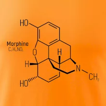 Molekulární struktura Morfin