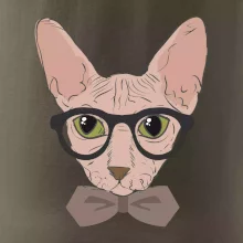 Hipster sphynx