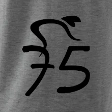 Cyklista slaví pětasedmdesátku (75)