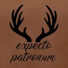 Harry - Expecto patronum