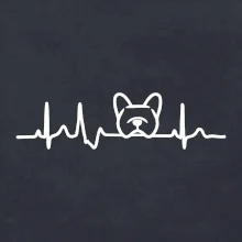 EKG Francouzský buldoček hlava EKG Francouzský buldoček hlava