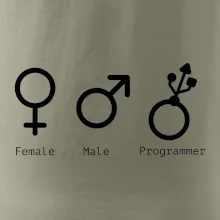 Female male programmer