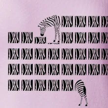 Zebra dlouhá