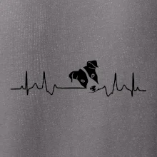 Jack Russell Terriér  - hlava