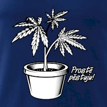 Konopi prostě pěstuju