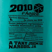 2010 v kostce