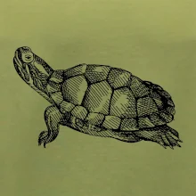 Tužkou kreslená želva