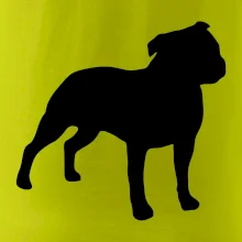 Americký stafordširský teriér  Na prsu