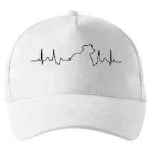 Stafordšírsky bulteriér EKG