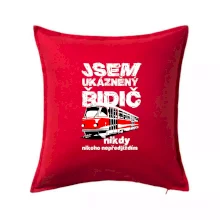 Jsem ukázněný řidič - tramvaj