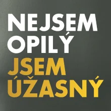 Nejsem opilý jsem úžasný