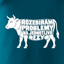 Rozebírám problémy na jednotlivé řezy