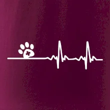 Veterinář EKG