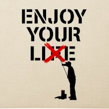 Enjoy Your Lie