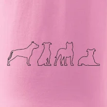 Americký stafordširský teriér v různých pozicích