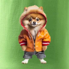 Pomeranian v bundě