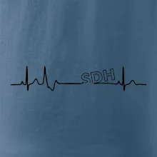 SDH EKG