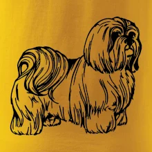 Shih-tzu - chlupatý Shih-tzu - chlupatý