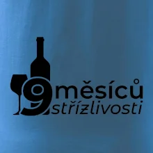 9 měsíců střízlivosti