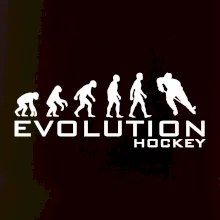 Evoluce Hockey - hráč