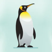 Tučňák se žlutou nákrčenkou