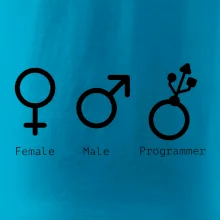Female male programmer