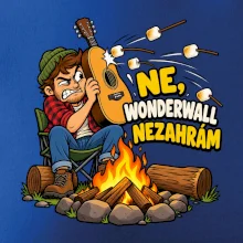 Ne Wonderwall nezahrám