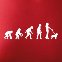 Lagotto romagnolo Evoluce