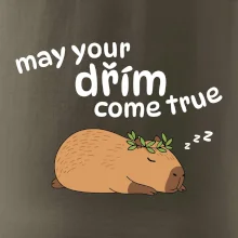 May your dřím come true