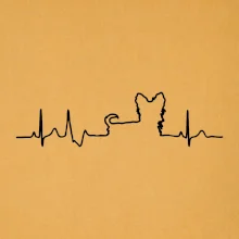 Jorkšírský teriér EKG Jorkšírský teriér EKG