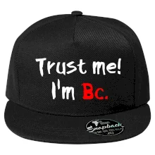 Trust me I´m  Bc. / Věř mi jsem Bc. Trust me I´m  Bc. / Věř mi jsem Bc.