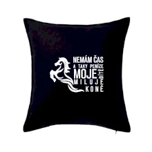 Nemám čas a taky peníze - Kůň