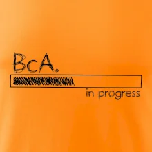 In progress  titul BcA. bakalář / bakalářka umění