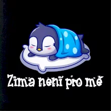 Zima není pro mě