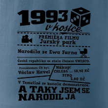 1993 v kostce