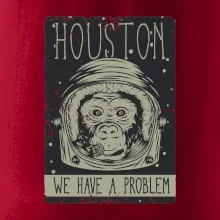 Houston we have a problem