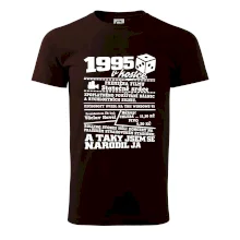 1995 v kostce