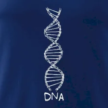 Cyklistovo DNA