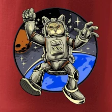 Kočičí astronaut
