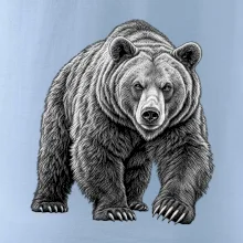 zvířata Beskyd - medvěd hnědý