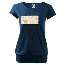 Mapa Báňské dráhy z Moravské Ostravy do Doubravy