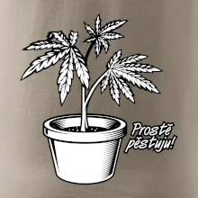 Konopi prostě pěstuju